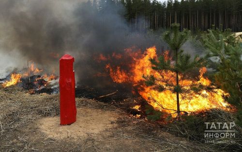 В Татарстане объявлен особый противопожарный режим